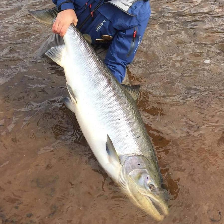 Jockfall Fishing And Activities - Oeverkalix Ngoại thất bức ảnh